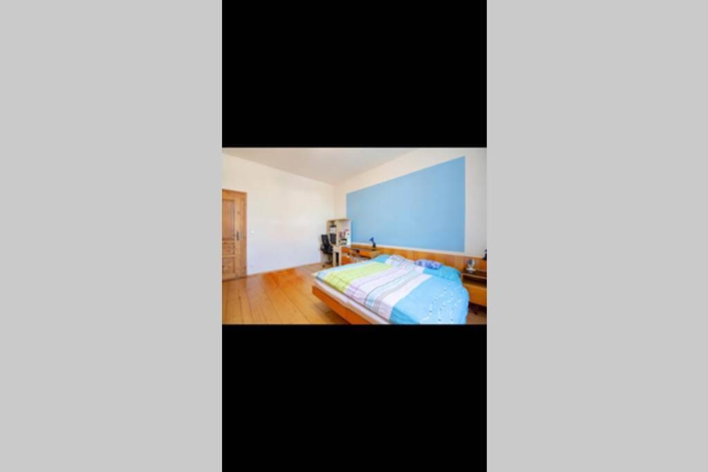 Zamecky Apartman V Horni Plane Горні-Плана Екстер'єр фото